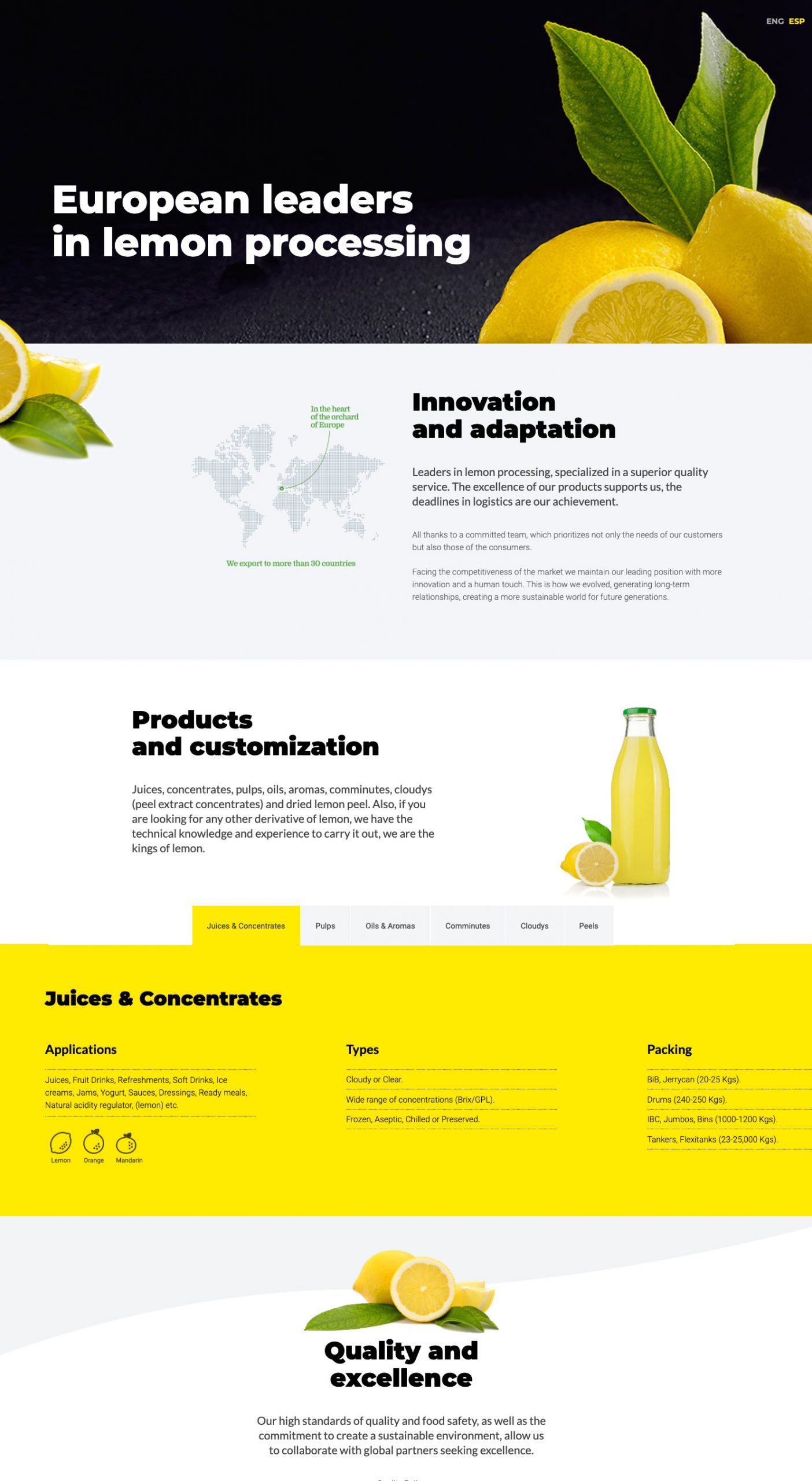 Detalle del diseño de la página de inicio de Lemon King